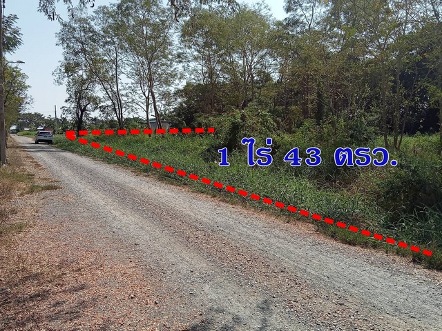 LS 933 ขายที่ดิน 1 ไร่ 43 ตรว. คลองสิบสอง หนองจอก ใกล้สโมสรหนองจอก ซิตี้  เหมาะทำบ้านสวน ฟาร์มเกษตร