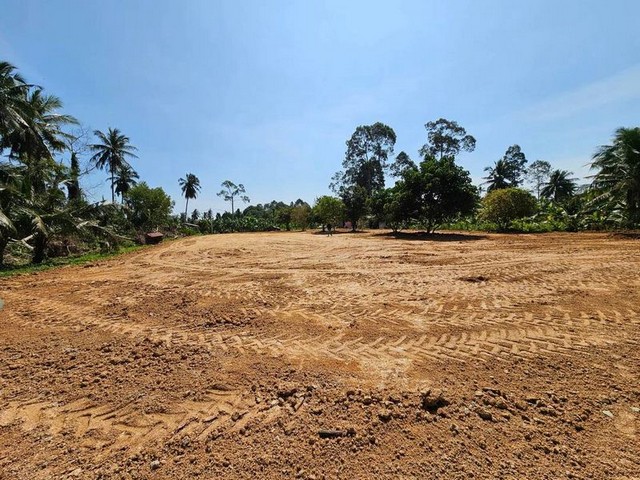 ขายที่ดินห้วยยายจีน พัทยา ทำเล EEC 1 ไร่ 2 งาน เหมาะสร้างบ้านจัดสรร TP-L1802