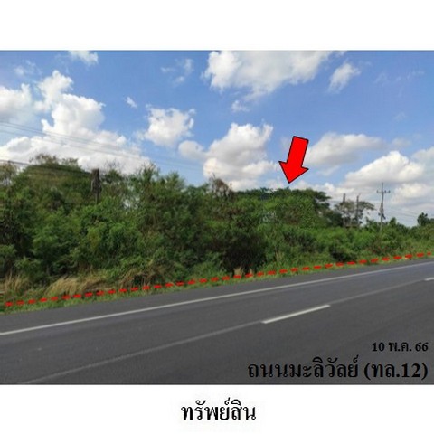 ขายที่ดินว่างเปล่า ถนน มะลิวัลย์ (ทล.12) ตำบล ขัวเรียง อำเภอ ชุมแพ จังหวัด ขอนแก่น