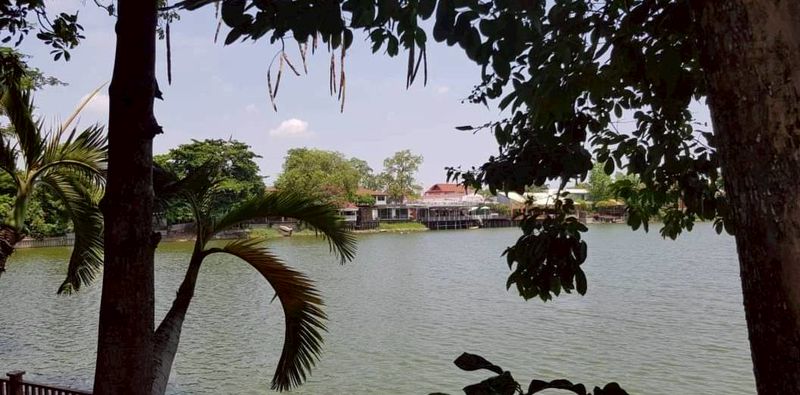 ขายบ้านริมทะเลสาบสัมมากร ทำเลเดียวกับร้านอาหารเรือนรสราคาดีทำเลดี ติดต่อผึ้งรติ 061-9419-639
