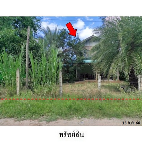 ขายบ้านเดี่ยว ถนน สายชุมแพ-ภูเขียว (ทล.201) ตำบล ชุมแพ อำเภอ ชุมแพ จังหวัด ขอนแก่น