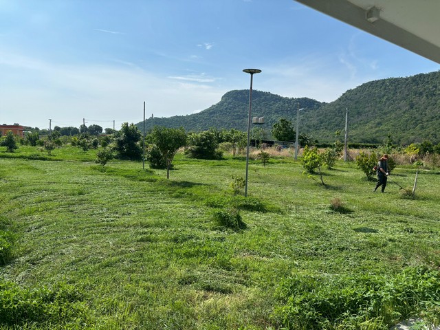 ขายที่ดินพร้อมสิ่งปลูกสร้าง วิวภูเขา อำเภอตากฟ้า จังหวัดนครสวรรค์ เนื้อที่ 2 ไร่