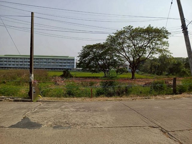 ที่ดินเปล่า ทำเลดี ในหมู่บ้าน ติดถนนคอนกรีต หนองผึ้ง สารภี 