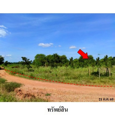 ขายที่ดินว่างเปล่า ถนน สายบ้านหนองบัวขาว-บัานโสกตลับ (ชย.3001) ตำบล โคกสูง อำเภอ เมืองชัยภูมิ จังหวัด ชัยภูมิ