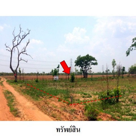 ขายที่ดินว่างเปล่า ถนน สายชัยภูมิ-ตาดโตน (ทล.2051) ตำบล ชีลอง อำเภอ เมืองชัยภูมิ จังหวัด ชัยภูมิ