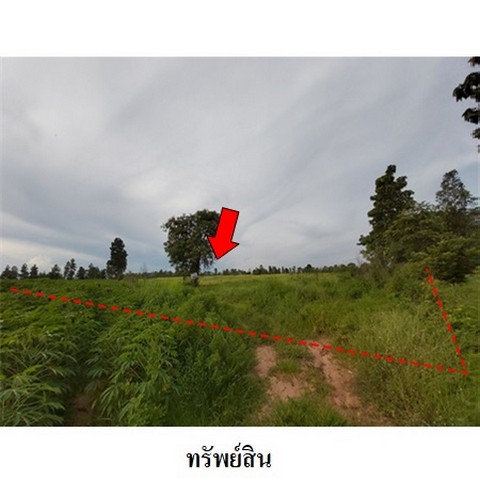 ขายที่ดินว่างเปล่า ถนน สายชัยภูมิ-หนองบัวแดง (ทล.2159) ตำบล รอบเมือง อำเภอ เมืองชัยภูมิ จังหวัด ชัยภูมิ