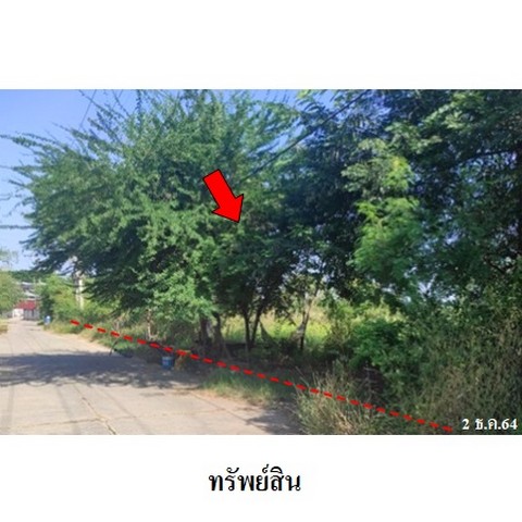 ขายที่ดินว่างเปล่า ถนน เลี่ยงเมืองขอนแก่น (ทล.230) ตำบล เมืองเก่า อำเภอ เมืองขอนแก่น จังหวัด ขอนแก่น