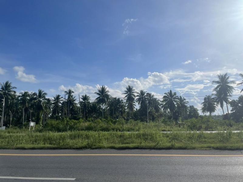 ให้เช่าบ้านเดี่ยวใจกลางสาทร 100 ตร.วา. 300 ตร.ม. 7นอน BTSเซนต์หลุยส์ 600 ม. 89,999 B-M. รพ. เซนต์หลุยส์ 500 ม. ทำเลทองเหมาะอยู่อาศัย และเปิดร้านอาหาร คาเฟ่ หรือออฟฟิศ บ้าน 2 ชั้น พื้นที่ใหญ่ รร. นานาชาติ เซนต์ แอนดรูว์  1.3 กม.ฟังก์ชันครบ  3 น้ำ จอดรถได้หลายคัน รองรับธุรกิจอาหารได้ เดินทางสะดวก ใกล้ถนนสาทร และแหล่งธุรกิจสำคัญDetached house for rent 100sq.wa. 300sq.m. 7bed BTS St. Louis 600m. in the heart of Sathorn 89,999 B-M. 500 m. from St. Louis Hospital Prime location ideal for residence res