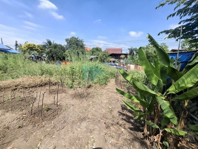 ขายที่ดินถมสูงกว่าถนนแล้ว 50.3 ตรว. ติดถนนคอนกรีตสาธารณะ ดินแปลงนี้ใกล้วัดสะแก (หลวงปู่ดู่) แค่ 3 นาที ใกล้แหล่งท่องเที่ยวในเกาะเมืองอยุธยา และ ห้างสรรพสินค้า แปลงที่ดินติดถนนคอนกรีตซอยธนู อยู่ในพื้นที่ ตำบลธนู อำเภออุทัย จังหวัดพระนครศรีอยุธยาลักษณะแปลงที่ดิน:รูปสี่เหลี่ยมผืนผ้า หน้ากว้าง 12 เมตร ลึกประมาณ 19 เมตรตำแหน่งแปลงที่ดินซอยวัดสะแก-ธนูตำบลธนู อำเ