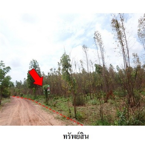 ขายที่ดินว่างเปล่า ถนน สายชัยภูมิ-ตาดโตน (ทล.2051) ตำบล นาฝาย อำเภอ เมืองชัยภูมิ จังหวัด ชัยภูมิ