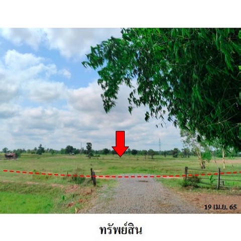 ขายที่ดินว่างเปล่า ถนน สายบ้านหนองบัวขาว-บ้านโสกตลับ (ชย.3001) ตำบล รอบเมือง อำเภอ เมืองชัยภูมิ