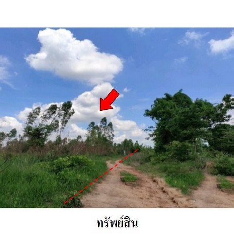 ขายที่ดินว่างเปล่า ถนน สายชัยภูมิ-ตาดโตน (ทล.2051) ตำบล ชีลอง อำเภอ เมืองชัยภูมิ จังหวัด ชัยภูมิ