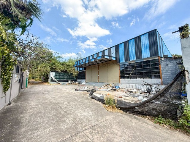 TEL:088-559 5199 คุณเอLine:https://line.me/ti/p/C0eGe0whLXขาย/ให้เช่า โกดัง + คลังสินค้าพิกัด : ถนนอัสสัมชัญ-หนองยายบู่ราคาขาย 8,000,000 บาทค่าใช้จ่ายวันโอน ผู้ขายชำระราคาเช่า 50,000 บาท/เดือน สัญญารายปีประกัน 3 เดือน + ค่าเช่าล่วงหน้า 1 เดือนเนื้อที่ขนาด 200 ตารางวาพื้นที่ใช้สอย 800 ตารางเมตรโกดังพร้อมใช้งานเหมาะสำหรับเก็บสินค้า ผลิต ร้านค้า ออฟฟิต- พื้นที่จอดรถได้ประมาณ10 คัน- รับน้ำหนักได้ 3 ตัน ต่อ ตารางเ