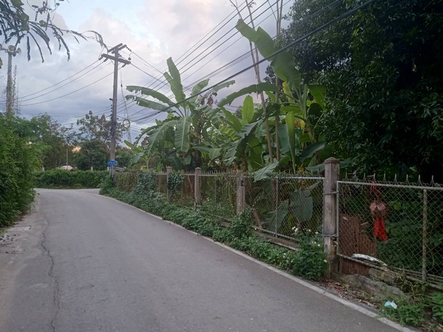 ขายที่ดิน 451ตรว. 10ลบ. มีรั้วรอบ ถนน น้ำประปา ไฟฟ้า เยื้องปั๊ม ปตท.ถนนต้นยาง ต.หนองผึ้ง อ.สารภี เชียงใหม่ขายที่ดิน เนื้อที่ 451ตรว. เอกสารโฉนดครุฑแดง พร้อมโอน ไม่ติดภาระจำนองขายราคา 10,000,000 บาท โอนคนละครึ่ง ต่อรองได้ที่ดินติดถนนลาดยาง 2 เลน รถสวนกันได้สบายที่ดินหน้ากว้างประมาณ 48 เมตร ลึก 47 เมตรล้อมรั้วทุกด้านเรียบร้อยมีบ้านเก่าชั้นเดียว ไม่มีผู้อยู่อาศัยนานแล้วน้ำ