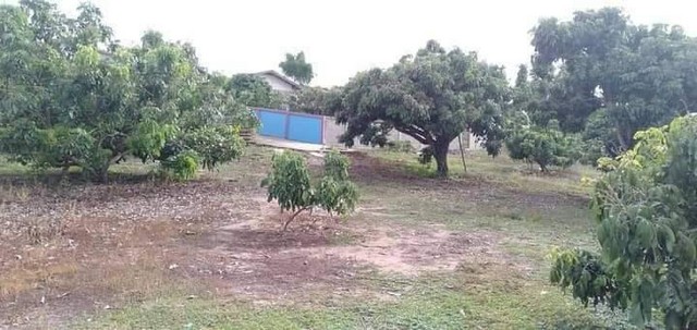 ขายที่ดิน 8-2-95ไร่ 4.5ล้านบาท บ้านป่าแดง ถ.บ้านดงป่างิ้ว ต.แม่ทะลบ ไชยปราการ เชียงใหม่พื้นที่ 8 ไร่ 2 งาน 95 ตารางวาราคา 4,500,000 บาท โอนคนละครึ่งเป็นที่นา มีน้ำคลองเข้านา ปลูกข้าวได้พื้นที่มีต้นลำไย เก็บผลขายได้ใกล้หมู่บ้าน ใกล้ตลาดน้ำประปา ไฟฟ้า ถึงที่ดินติถนนคอนกรีต กว้าง 4 เมตร ผ่านหน้าแปลงใกล้ถนนหลัก 107 ที่ว่าการอำเภอไชยปราการ 6 กม.*** สนใจสอบถาม ***โทร 0945735168 / Line id piyawitnoom