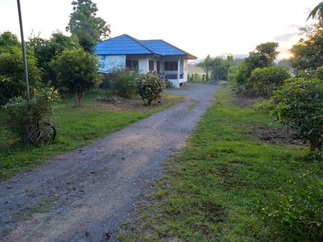 ขายที่ดินพร้อมบ้าน ต.ป่าลาน อ.ดอยสะเก็ด จ.เชียงใหม่ราคา 5,500,000บาท ฟรีโอน!-เนื้อที่ทั้งหมด 3 ไร่ 171 ตารางวา-หน้ากว้างติดถนนประมาณ 65 ม. ลึก 223 เมตร-บ้านมี 3 ห้องนอน 2 ห้องน้ำ 1 ห้องครัว -ในตัวบ้านมีพื้นที่ว่างโดยรอบ สามารถปลูกต้นไม้ ได้มากมาย-ใกล้ ถนน 1014 สันกำแพง-ดอยสะเก็ด แดนข้าวมันไก่ 2.9 กม.-ใกล้ ตลาดบ่อหิน ถนน 118 เชียงใหม่-ดอยสะเก็ด 6.6 กม.-ใกล้ตัวเมืองเชียงใหม่เพียง 13 กม.-ใกล้สน