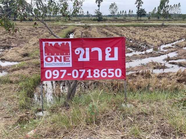 ขายด่วน  ที่ดินเปล่า โฉนดที่ดิน เลขที่ 27350 ตำบลดอนยาวใหญ่ อำเภอโนนแดง จังหวัดนครราชสีมา ห่างถนนมิตรภาพประมาณ 1กม.• เนื้อที่ 11 ไร่ 93 ตารางวาราคาขาย : 1,100,000.- บาท พิกัดตัวทรัพย์ : https://maps.app.goo.gl/S7ppKedHXHY23sRx8สนใจสอบถามรายละเอียดได้ที่ : โทร 097-0718650, 081-3152640ขายด่วน  ที่ดินเปล่า โฉนดที่ดิน เลขที่ 27350 ตำบลดอนยาวใหญ่ อำเภอโนนแดง จังหวัดนครราชสีมา ห่างถนนมิตรภาพประมาณ 1กม.• เนื้อที่ 11 ไร่ 93 ตารางว�