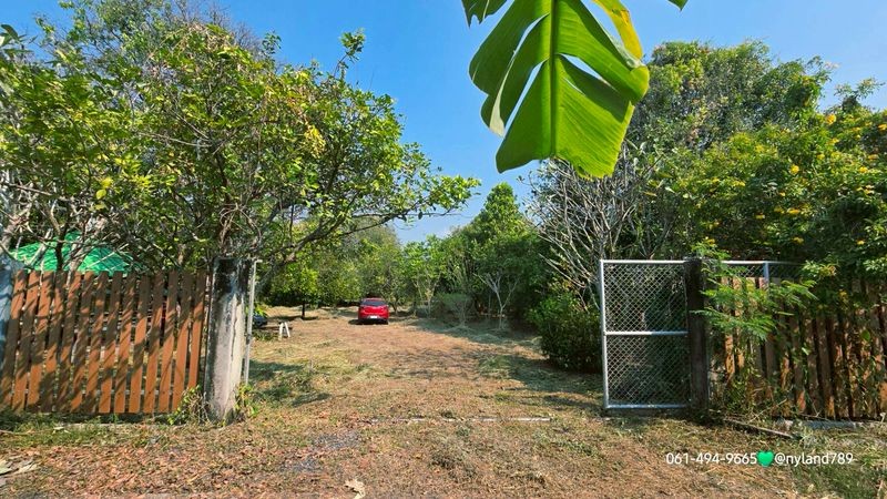 สนใจมาเที่ยวชมโทร ติดต่อ นกได้หลายช่องทางนะคะโทร. 061-494-9665โทร. 063-635-5651 (เบอร์นี้ไลน์เต็มค่ะ)ไลน์ไอดี : @nyland789(ไลน์คลิ๊กแล้วทักมาได้เลยค่ะ) https://lin.ee/R8sP0rj____________________________สวนผลไม้รวม ใกล้เขื่อนขุนด่าน 335 ตรว. 2.7 ล้านต.หินตั้ง อ.เมือง จ.นครนายกรูปที่สี่เหลี่ยมสวย มีศาลาพักผ่อน ห้องน้ำในสวน แทงค์น้ำสำรอง มีรั้วรอบพื้นที่สวยในสวนร่มรื่น มีผลไม้ต้นโตให้ผลผลิตแล้ว ดังนี้มะยงชิด 4 ต้นมะ�