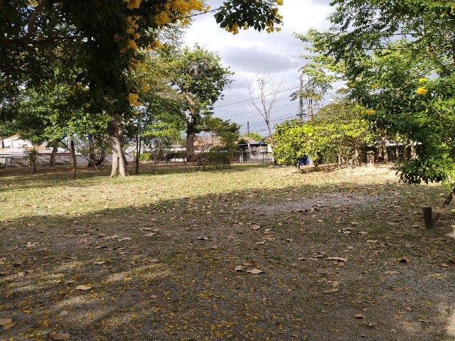 ขายที่ดินเปล่า เนื้อที่ 571.7 ตารางวา ใกล้สนามบิน ถนนราชสุดา ต.บ้านจั่น อ.เมือง จ. อุดรธานีหน้ากว้าง 22 เมตร ลึก 104 เมตร ห่างสนามบิน 10 กิโลเมตรราคาขาย 6 ล้านบาทสถานที่ใกล้เคียง1. ท่าอากาศยานนานาชาติอุดรธานี2. โรงพยาบาลค่ายประจักษ์ศิลปาคม3. โกลบอลเฮ้าส์ อุดรธานี 24. TT Station ปตท.บ้านตาด5. อ่างเก็บน้ำบ้านจั่นที่ตั้ง เทศบาลนครอุดรธานี อำเภอเมืองอุดรธานี อุดรธานี-----------------------------------------