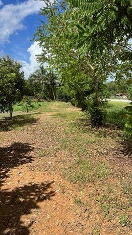 M650512ขายที่ดินแปลงสวย ทำเลศักยภาพสูงอำเภอเชียงคาน จังหวัดเลยขนาดพื้นที่ 3 ไร่???? ราคาไร่ละ 6 ล้านบาท???? จุดเด่นของที่ดินด้านหน้าแปลง ติดถนน เดินทางสะดวกด้านหลังแปลง ติดริมน้ำโขง บรรยากาศดี วิวสวยทำเลดี เหมาะสำหรับปลูกสร้างที่อยู่อาศัยรีสอร์ท / ที่พัก / โฮมสเตย์ซื้อเก็บเป็นทรัพย์สินระยะยาวทำสวน บรรยากาศร่มรื่น ใกล้ธรรมชาติ???? ที่ดินสวย วิวหลักล้าน ทำเลเชียงค