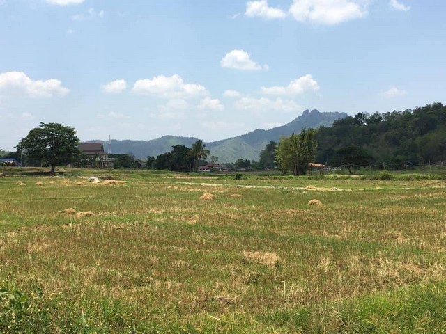 ขายที่ดิน 5ไร่8ตรว. 2ลบ. รวมโอน ที่นาเชิงดอย เหมาะทำเกษตร ต.เมืองปาน อ.เมืองปาน ลำปางขายที่ดิน ที่นาเชิงดอย พื้นที่ 5 ไร่ 8 ตรว. เอกสารโฉนดครุฑแดงขาย 2 ล้านบาท (2,000,000 บาท) รวมโอนติดถนนดิน ประมาณ หน้ากว้าง 121 เมตร, ลึก 75 เมตรมีบ่อน้ำไว้ใช้ เหมาะทำเกษตร นาขั้นบันได หรือ สวนทุเรียนใกล้ ถนนหลักคอนกรีต น้ำจำ-ทุ่งโป่ง 600 เมตรใกล้ วัดพระธ่ตุดวงตา 1.5 กม.ใกล้ โรงพยาบาลเมืองปาน 1.7 กม.ใ�