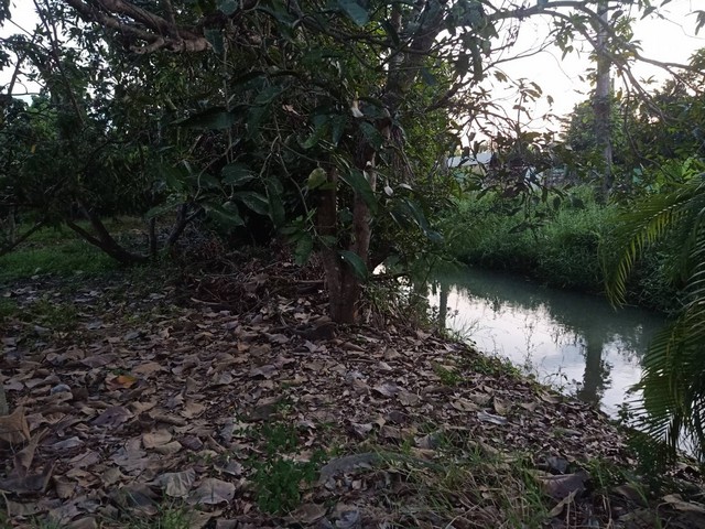 ขายที่ดิน 136.9ตรว. 1.37ล้านบาท ติดน้ำ ถนน ใกล้ตลาดประตูป่า ต.เหมือง่า อ.เมือง ลำพูนขายที่ดิน พื้นที่ 136.9 ตารางวา โฉนด ครุฑแดงขายราคา 1.37 ล้านบาท (1,370,000 บาท) โอนคนละครึ่งประมาณหน้ากว้าง 35 เมตร ลึก 37 เมตรด้านหน้าติดคูน้ำเหมืองสาธารณะยื่นขอทำสะพานข้ามมาถนนลาดยาง 2 เลน ทางหลวงชนบท3186ถนนประตูป่าไปแยกบายพาสเหมืองง่า ลำพูน ซุปเปอร์ไฮเวย์ได้ใกล้ 7-11 ตลาดประตูป่า, วัดประตูป่า ประ�