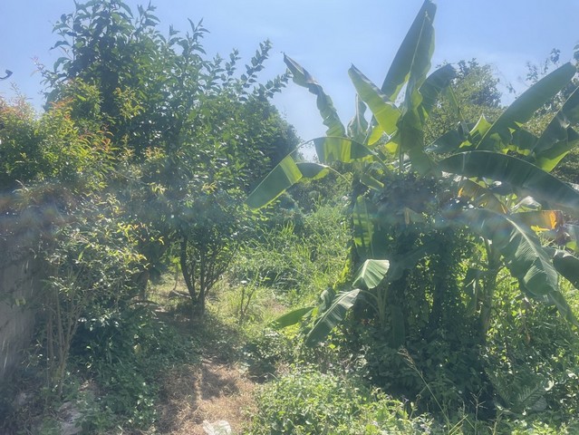 ขายด่วน  ที่ดินเปล่า โฉนดที่ดิน เลขที่ 5224 ตำบลบัวใหญ่ อำเภอบัวใหญ่ จังหวัดนครราชสีมา • ที่เนื้อที่ 3 ไร่ 2 งาน 92.4 ตารางวาราคาขาย : 5,600,000 บาท พิกัดตัวทรัพย์ : https://maps.app.goo.gl/bGh2h7hraoe1feNH6สนใจสอบถามรายละเอียดได้ที่ : โทร 097-0718650, 081-3152640ขายด่วน  ที่ดินเปล่า โฉนดที่ดิน เลขที่ 5224 ตำบลบัวใหญ่ อำเภอบัวใหญ่ จังหวัดนครราชสีมา • ที่เนื้อที่ 3 ไร่ 2 งาน 92.4 ตารางวาราคาขาย : 5,600,000 บาท พิกัดตัวทรัพย์ : https://maps.app.goo