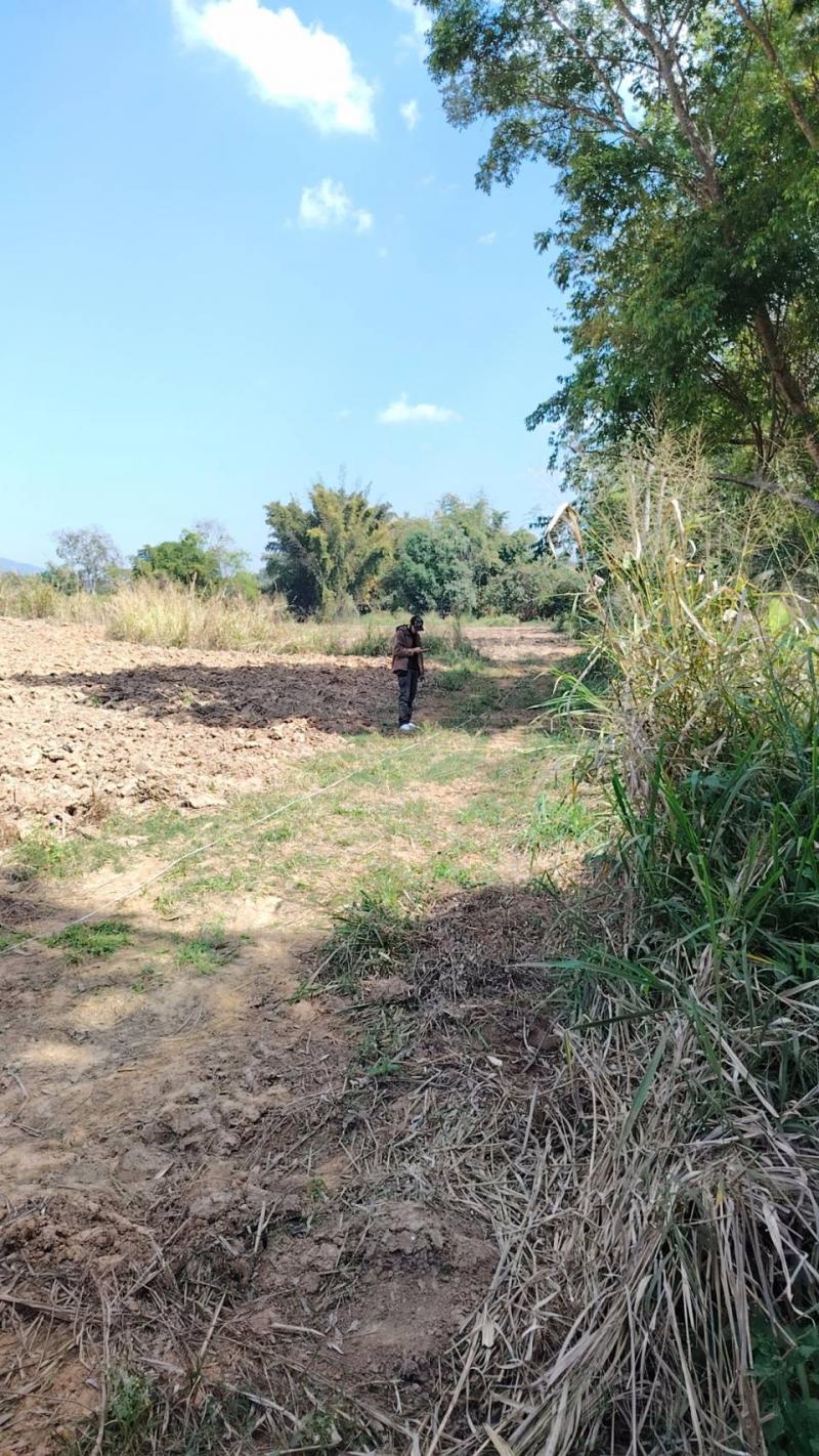 ขายที่ดินเปล่า12 ไร่ ทำเลสวย อากาศดี อำเภอภูเรือ จังหวัดเลยที่ตั้ง : ตำบลหนองบัว อำเภอภูเรือ จังหวัดเลย 42160พิกัด : https://maps.app.goo.gl/NG4xVD4vZL19BUzN6?g_st=ilขนาดเนื้อที่ : 12 ไร่รายละเอียดที่ดินเปล่า บรรยากาศดี ล้อมรอบด้วยธรรมชาติทำเลเงียบสงบ อากาศเย็นสบายตลอดปีจุดเด่น-วิวสวย เหมาะสำหรับผู้ที่ต้องการความเป็นส่วนตัว-การเดินทางสะดวก ใกล้แหล่งท่องเที่ยวสำคัญของภูเรือเหมาะสำหรับพั�