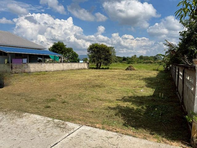 ขายที่ดิน 1.85 ล้าน 130 ตรว. #เหมืองแก้ว #แม่ริม เชียงใหม่ ทำเลดี ใกล้แหล่งชุมชน