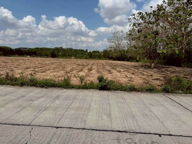 TEL : 092-288 9359 คุณดนิตาLine : https://line.me/ti/p/yxo92dHWP1รายละเอียด : เนื้อที่ขนาด 115-0-68.2 ไร่  (46,068.2 ตรว.)น้ำไฟ 3 เฟส ขยายเขตถนน 6 เมตร  ถนน 2 ด้านหน้ากว้างติดถนน 645 เมตรมีห้วยสาธารณะข้างเเปลงราคาขายไร่ละ 3,000,000 บาท ราคาตารางวาละ 7,500 บาท ราคาขายยกแปลง 345,511,500 ล้านบาท สถานที่ใกล้เคียง : - ท่าเรือเเหลมฉบัง42กม.- นิคมมาบตาพุด37กม.- สนามบินอู่ตะเภา50กม.- รพ.กรุงเทพ ปลวกเเดง2.2กม.- รพ.ปิยะเวท มาบยางพร8.9กม- ห้าง ck ปลวกเเดง4กม.