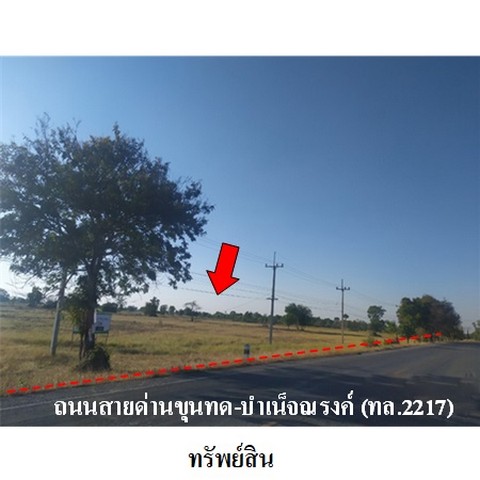 บ้านสวยให้เช่า พร้อมเข้าอยู่ทันที | #หนองผึ้ง #สารภี ทำเลดี เดินทางง่าย ใกล้เมือง เฟอร์ครบ อยู่สบาย เหมาะสำหรับครอบครัวค่าเช่า 30,000 บาท / เดือนสัญญา 1 ปีประกัน 2 เดือน + ล่วงหน้า 1 เดือนรายละเอียดบ้าน– ที่ดิน 70 ตารางวา– พื้นที่ใช้สอย 265 ตร.ม.– 3 ห้องนอน | 3 ห้องน้ำ– เตียง 6 ฟุต 2 ห้อง– เตียง 3.5 ฟุต 2 หลัง (1 ห้อง)– เฟอร์นิเจอร์ + เครื่องใช้ไฟฟ้าครบ– ห้องครัวกว้าง ติด ฮูด + เตา พร้อมใช�