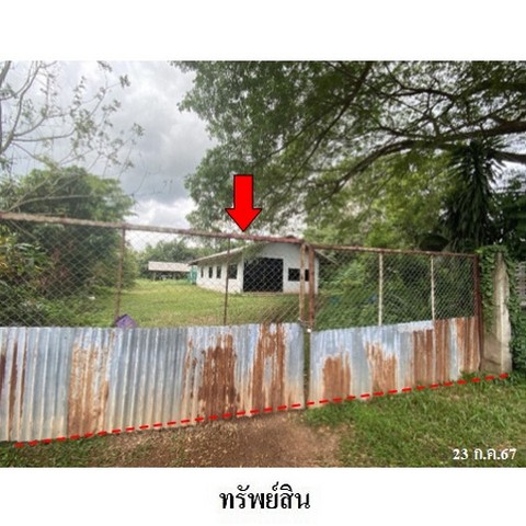  รหัสทรัพย์ (Code ID)  : PMS-BL0057  ราคา   5,356,000    บาท  ▸ เนื้อที่  28 ไร่ 1 งาน 59.0 ตร.ว.   ▸ 1 ห้องนอน 1 ห้องน้ำ   บ้านหันไปทางทิศ ตะวันตก  พิกัดทรัพย์ : https://maps.app.goo.gl/6tYgwH2ihrrTs8D96  สถานที่ใกล้เคียง   ▸ใกล้วัดทุ่งโพธิ์ชัย  ▸ใกล้วัดทุ่งโพธิ์ศรี  ▸ใกล้สำนักงานเทศบาลตำบลพระซอง    สอบถามเพิ่มเติม / นัดชม โทร. 097-419-5982(พลอย) โทร. 096-932-4624(ออมสิน) Line : @panaya (มี@ด้านหน้า)  ปรึกษาสินเชื่อฟรี One Stop Service ดูแลตั้งแต่ต้นจนจบบริษัท ปณยาคิดด