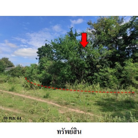   รหัสทรัพย์ (Code ID)  : PMS-8Z4605  ราคา   5,061,000    บาท  ▸ เนื้อที่   3 ไร่ 2 งาน 36.0 ตร.ว.     บ้านหันไปทางทิศ เหนือ  พิกัดทรัพย์ : https://maps.app.goo.gl/j99zY5yHcyQ37w7V9  สถานที่ใกล้เคียง   ▸ใกล้วัดพระธาตุโป่งดินสอ นครราชสีมา   ▸ใกล้บ้านสวนมาบใหญ่   สอบถามเพิ่มเติม / นัดชม โทร. 097-419-5982(พลอย) โทร. 096-932-4624(ออมสิน) Line : @panaya (มี@ด้านหน้า)  ปรึกษาสินเชื่อฟรี One Stop Service ดูแลตั้งแต่ต้นจนจบบริษัท ปณยาคิดดี จำกัด 