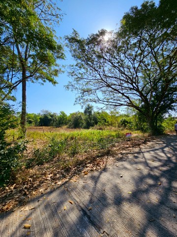 ขายที่ดินสวย วิวธรรมชาติ เนื้อที่ 2 งาน 26 ตารางวา จังหวัดอุดรธานีสถานที่ตั้ง : ตำบลหมากแข้ง อำเภอเมืองอุดรธานี จังหวัดอุดรธานี 41000ขนาดที่ดิน : เนื้อที่ 2 งาน 26 ตารางวารายละเอียด-ที่ดินเหมาะกับการอยู่อาศัย ร่มรื่น-อยู่ใกล้ถนนเลี่ยงเมืองอุดรฯ หนองบัวลำภู-ใกล้กองบิน 23สถานที่ใกล้เคียง -กองบิน 23-โรงเรียนอุดรพัฒนาการ-อ่างเก็บน้ำบ้านจั่น-วิทยาลัยเทคโนโลยีบ้านจั่น�