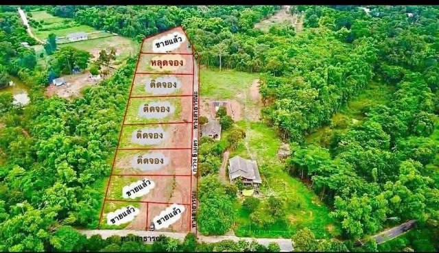 #หลุงจองขายด่วนที่ดินดงละครแปลงละ 1 ไร่ ถมแล้ว อยู่บนกลางดงที่สูงน้ำไม่ท่วม บรรยากาศดีมีเพื่อนบ้าน คุยกับเจ้าของเลยครับรายละเอียด- ที่ดินตั้งอยู่ที่ ต.ดงละคร อ.เมือง จ.นครนายก- เอกสารสิทธิ์โฉนด 2ใบ ใบละ 1 ไร่ แบ่งแยกแล้ว พร้อมโอน- มีทางสาธารณะกว้าง 6 -7เมตร. หน้ากว้างติดทางแปลงละ 40 เมตร.- มีเพื่อนบ้าน,น้ำ,ไฟฟ้า- ไม่ไกลเมือง เดินทางง่ายไป-มาสะดวกสถานที่ใกล้เคียง- �