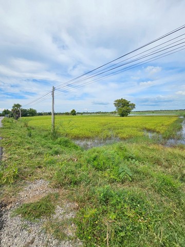 ขายท่ดินขนาดเนื้อที่ 4 ไร่ 2 งาน 80 ตารางวา ตำบลคันธารราษฎร์ อำเภอกันทรวิชัย มหาสารคามที่ตั้ง : ตำบลคันธารราษฎร์ อำเภอกันทรวิชัย มหาสารคามขนาดเนื้อที่ 4 ไร่ 2 งาน 80 ตารางวารายละเอียด- ขายที่ดิน ติดถนนเมนราดยาง- เนื้อที่ 4 ไร่ 2 งาน 80 ตารางวา- เป็นที่นา - ที่สวย ร่มรื่น เป็นธรรมชาติมาก  เหมาะแก่การซื้อไว้พักอยู่อาศัย หอพัก หรือเปิดทำกิจการส่วนตัว เพื่อการลงทุนได้- เดิ�