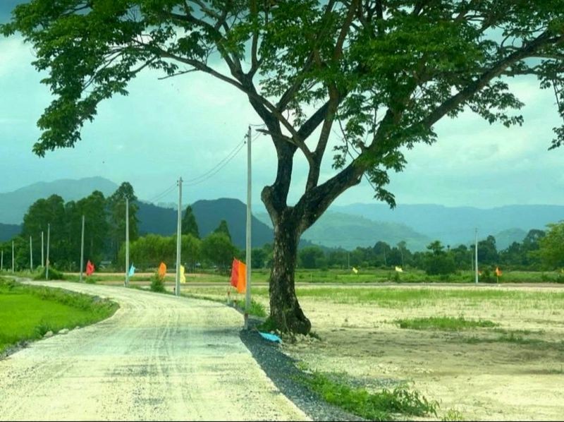 สนใจมาเที่ยวชมโทร ติดต่อ นกได้หลายช่องทางนะคะโทร. 061-494-9665โทร. 063-635-5651 (เบอร์นี้ไลน์เต็มค่ะ)ไลน์ไอดี : @nyland789(ไลน์คลิ๊กแล้วทักมาได้เลยค่ะ) https://lin.ee/R8sP0rj____________________________ที่สวยวิวเขา ใกล้ รร.นายร้อยจปร. 200 ตรว. 9.9 แสนต.พรหมณี อ.เมืองนครนายกที่สวยถมนานแล้ว มี 2 แปลงติดกันซื้อแปลงเดียวหรือทั้งสองก็ได้ค่ะรูปที่สี่เหลี่ยมผืนผ้าสวย หน้ากว้างติดถนนคอนกรีต แปลงละประมาณ 21 เมตร ลึกประมาณ 35 เ�