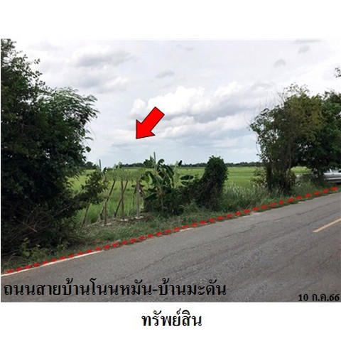 ขายที่ดินว่างเปล่า ถนน สายบ้านโนนหมัน-บ้านมะดัน ตำบล ท่าช้าง อำเภอ เฉลิมพระเกียรติ จังหวัด นครราชสีมา