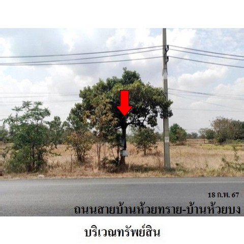   รหัสทรัพย์ (Code ID)  : PMS-3A2356  ราคา    3,213,400   บาท  ▸ เนื้อที่  5 ไร่ 1 งาน 36.6 ตร.ว.    บ้านหันไปทางทิศ เหนือ  พิกัดทรัพย์ : https://maps.app.goo.gl/o5XJmA2uegemRr6fA  สถานที่ใกล้เคียง   ▸ใกล้วัดห้วยทราย  ▸ใกล้โรงเรียนห้วยทรายวิทยาคม    สอบถามเพิ่มเติม / นัดชม โทร. 097-419-5982(พลอย) โทร. 096-932-4624(ออมสิน) Line : @panaya (มี@ด้านหน้า)  ปรึกษาสินเชื่อฟรี One Stop Service ดูแลตั้งแต่ต้นจนจบบริษัท ปณยาคิดดี จำกัด 