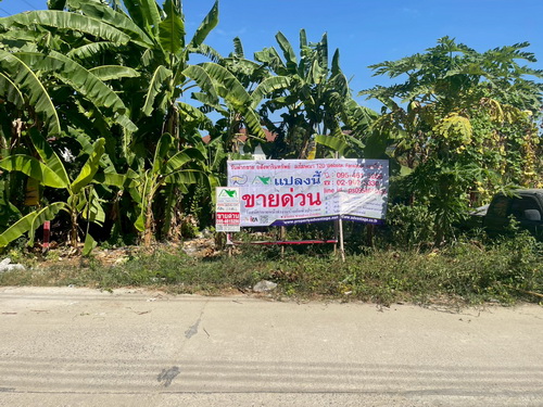 2601ACL2045 ขายที่ดินเปล่า 119 ตร.ว. แปลงสี่เหลี่ยมสวย หน้ากว้าง 12.98 เมตร ลึก 35.90 เมตร ด้านหน้าที่ดินติดถนนคอนกรีต ทำเลดีอยู่ในแหล่งชุมชน  บรรยากาศดี ที่ดินถมแล้วบางส่วน เหมาะแก่การสร้างที่อยู่อาศัย,ออฟฟิศ, หอพัก อพาร์เม้นท์, ธุรกิจห้างร้านขนาดย่อม หรือซื้อไว้เก็งกำไรในอนาคตได้ 2601ACL2045 Land for sale, 119 square wa. Beautiful rectangular plot, 12.98 meters wide and 35.90 meters length. The land has frontage on a concrete road, is located in a good location within a community, and has a pleasant atmosphere. Part of the lan