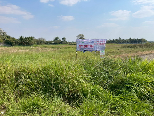 1325. ขายที่ดิน 1-3-59.0 ไร่ ที่ดินแปลงใหญ่สวย ทำเลดี ติดทางสาธารณะประโยชน์  2 ด้าน  ต.ขามทะเลสอ อ.ขามทะเลสอ จ.นครราชสีมา2506ACL2023 ขายที่ดิน 1-3-59.0 ไร่ หน้ากว้าง 15  เมตร ลึก 193  เมตร ที่ดินแปลงใหญ่สวย ทำเลดี ติดทางสาธารณะประโยชน์ 2 ด้าน ติดคอนกรีต อยู่ในแหล่งชุมชน ภายในที่ดินเป็นที่สำหรับทำนา บรรยากาศดี เหมาะกับการทำที่อยู่อาศัย, บ้านสวน, รีสอร์ท การเกษตร หรือซื้อไว้เก็งกำไร2506ACL2023 Lan