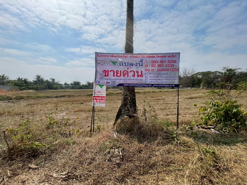 1324.ขายที่ดิน 3 งาน 78.0 ตรว. ที่ดินสวย ทำเลดี ติดทางสาธารณะประโยชน์ ต.ขามทะเลสอ อ.ขามทะเลสอ จ.นครราชสีมา2506ACL2022 ขายที่ดิน 3 งาน 78.0 ตรว. หน้ากว้าง 56 เมตร ลึก 39 เมตร ที่ดินสวย ทำเลดี ติดทางสาธารณะประโยชน์ ภายในที่ดินเป็นที่สำหรับทำนาติดคลองส่งน้ำทำนาได้ทั้งปี มีเพื่อนบ้าน น้ำไฟเข้าถึง อยู่ในแหล่งชุมชน บรรยากาศดี เหมาะกับการทำที่อยู่อาศัย, บ้านสวน, รีสอร์ท การเกษตร หรือซ�