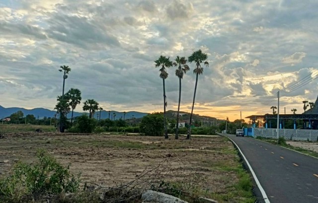 ขายที่ดิน 459.5 ตารางวา ถมแล้ว ใกล้วนอุทยานเขานางพันธุรัตน์ อ.ชะอำ จ.เพชรบุรี ที่ดินตั้งอยู่ในย่านชุมชนบ้านสระ ปลอดภัย สะอาด บรรยากาศดี เดินทางสะดวก ติดถนนคอนกรีตสาธารณะ สาธารณูปโภครวมทั้งสิ่งอำนวยความสะดวกพร้อม สามารถเข้า/ออกที่ดินได้โดยใช้เส้นทางซอยบ้านสระ 1, ซอยชะอำ 5 และซอยชะอำ 13 เพื่อเชื่อมต่อเส้นทางหลักที่ถนนเพชรเกษม*วิวอุทยานเขานางพันธุรัตน์, อากา�