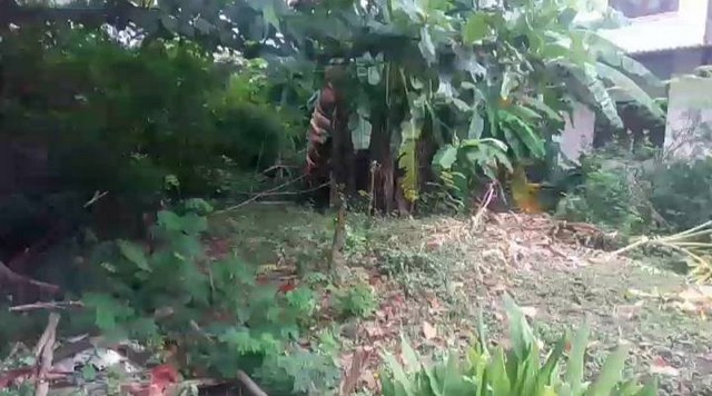 ขายที่ดิน ใจกลางเมือง ซอยปราสาทสุข ในซอยสาทร 1 โทร 0839295426, 0988746992 ที่ดิน  45 ตารางวาทำเล :  ซอยปราสาทสุข แขวงทุ่งมหาเมฆ เขตสาทร กรุงเทพมหานคร         สถานที่สำคัญใกล้เคียง- MRT สีลม- BTS ศาลาแดง- รพ.จุฬาฯ- รพ.BNH- สถานทูต เยอรมัน- สถานทูต มาเลเชีย- สถานทูตออสเตรเลีย- สถานทูตญี่ปุ่น- สถานทูตสิงคโปร์- โรงแรมบันยันทรี- โรงแรมสุโขทัย- สวนลุมพินีการเดินทางสามารถเข้า ออก ได้หลายซอย- ซอยสาทร 1-