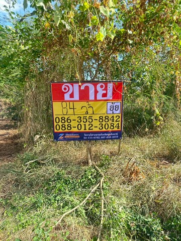 ZT873 ขายที่ดิน มบ.สีวลีรังสิต 1 ซอยรังสิตนครนายก 50เนื้อที่ 84 ตารางวา หน้ากว้าง 17 เมตร ลึก 19 เมตรที่ตั้ง: ซอยรังสิตนครนายก50 ตำบลรังสิตใต้ อำเภอธัญบุรี จังหวัดปทุมธานีสถานที่ใกล้เคียง (ฟิวเจอร์พาร์ค, เซียร์รังสิต), โรงเรียนชั้นนำ (สวนกุหลาบวิทยาลัย รังสิต, นอร์ทกรุงเทพฯ), โรงพยาบาล (ปทุมเวช, แพทย์รังสิต, ราชวิถี 2), และเดินทางสะดวกเชื่อมต่อถนนรังสิต-นครนายก, วงแหวนฯตะวั