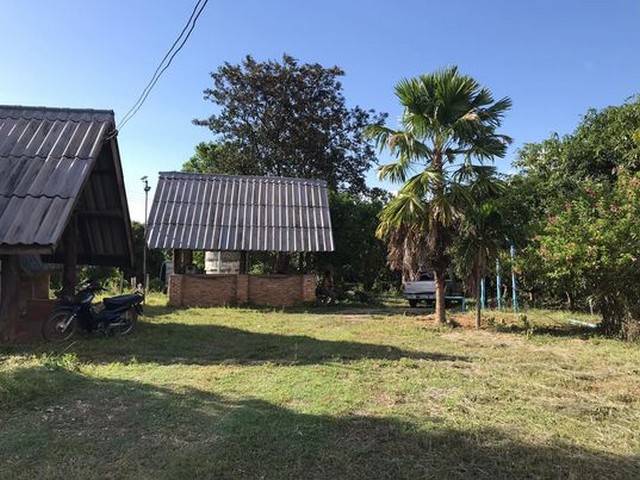 ขายที่ดิน 6ไร่ 1งาน 2.2ลบ. สวนลำไย มะม่วง ถนนคอนกรีต น้ำไฟพร้อม บ้านห้วยกาน ต.บ้านโฮ่ง อ.บ้านโฮ่ง ลำพูนขายสวน 6 ไร่ 1 งาน มีโฉนด ราคา 2,200,000 บาท โอนคนละครึ่งมีต้นลำไย ต้นมะม่วง พร้อมทำผลผลิตสร้างบ้านได้ ถนน น้ำ ไฟฟ้า พร้อม (มีสิ่งปลูกสร้างให้เรียบร้อย) ไม่ไกลจากแหล่งชุมชนกำลังทำถนนลาดยาง ในปี 2566พิกัด บ้านห้วยกาน หมู่ 1 ซอย37 ตำบลบ้านโฮ่ง อำเภอบ้านโฮ่ง จังหวัดลำพูนใกล้ถ�