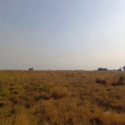 TEL : 092-288 9359 คุณดนิตาLine : https://line.me/ti/p/yxo92dHWP1รายละเอียด : เนื้อที่ขนาด 127-0-60 ไร่  (50,860 ตรว.)น้ำไฟ 3 เฟส ขยาย 100 เมตรถนน 8-10 เมตร ยังเป็นทางดินห่างถนน 331/475 เมตรที่สวยไม่ต้องถมมีห้วยสาธารณะท้ายเเปลงราคาขายไร่ละ 3.8 ล้านบาท ราคาตารางวาละ 9,500 บาท ราคาขายยกแปลง 483,170,000 ลบ.สถานที่ใกล้เคียง : - ใกล้นิคมอมตะซิตี้- ท่าเรือเเหลมฉบัง22กม.- นิคมมาบตาพุด49กม.- สนามบินอู่ตะเภา45กมF-A4 