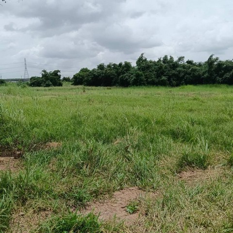 TEL : 092-288 9359 คุณดนิตาLine : https://line.me/ti/p/yxo92dHWP1รายละเอียด : เนื้อที่ขนาด 51-1-72 ไร่  (20,572 ตรว.)น้ำไฟ 3 เฟส ขยายเขตถนนเปิดไว้ 8 เมตร ยังเป็นทางดินมีห้วยสาธารณะหลังเเปลงติดนิคมโรจนะราคาขายไร่ละ 3 ล้านบาท ราคาตารางวาละ 7,500 บาท ราคาขายยกแปลง 154,290,000 ล้านบาท สถานที่ใกล้เคียง : - ท่าเรือเเหลมฉบัง 39 กม.- นิคมมาบตาพุด 71 กม.- สนามบินอู่ตะเภา 63 กม.- เเยกมาบปู 14 กม.- เเยกเขาน้อย 13 กม.- เเยกปากร่วม 17 กม.- เเยกสุรศัก�