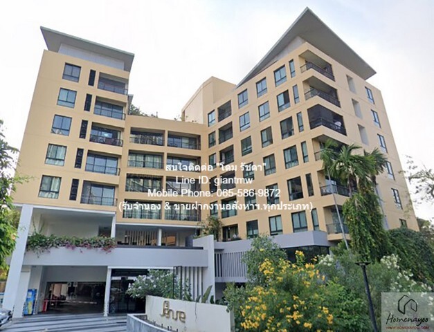 CONDO Sense Sukhumvit เซ้นส์ สุขุมวิท 66Square Meter 2 ห้องนอน 2 ห้องน้ำ 4200000 บาท หั่นราคา เป็นคอนโดพร้อมอยู่ที่มีการตกแต่งภายในเพิ่มเติมได้แบบเรียบหรู และมีทำเลสวยสามารถมองเห็นวิวเมือง พร้อมพื้นที่ส่วนกลาง และสิ่งอำนวยความสะดวกครบครัน ทั้งสระว่าย