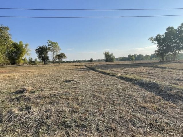 รหัสทรัพย์ MKR0102ที่ดินแปลงใหญ่ ทำเลอนาคต หนองคายทำเล: ต.หาดคำ อ.เมืองหนองคาย จ.หนองคายใกล้ชุมชน เดินทางสะดวก บรรยากาศสงบพื้นที่รอบข้างเป็นที่ดินเกษตรและแปลงลงทุนต่อเนื่องที่ดินเปล่าเอกสารสิทธิ์: โฉนด น.ส.4 จ.เนื้อที่: 19 ไร่ 1 งาน 42 ตารางวารูปแปลงสวย ต่อเนื่อง ใช้งานง่ายเหมาะสำหรับทำเกษตรแปลงใหญ่ซื้อเก็บลงทุนระยะยาวแบ่งขายในอนาคตราคาขายเพียง 3,900,000 บาทเฉลี่ย ไ�